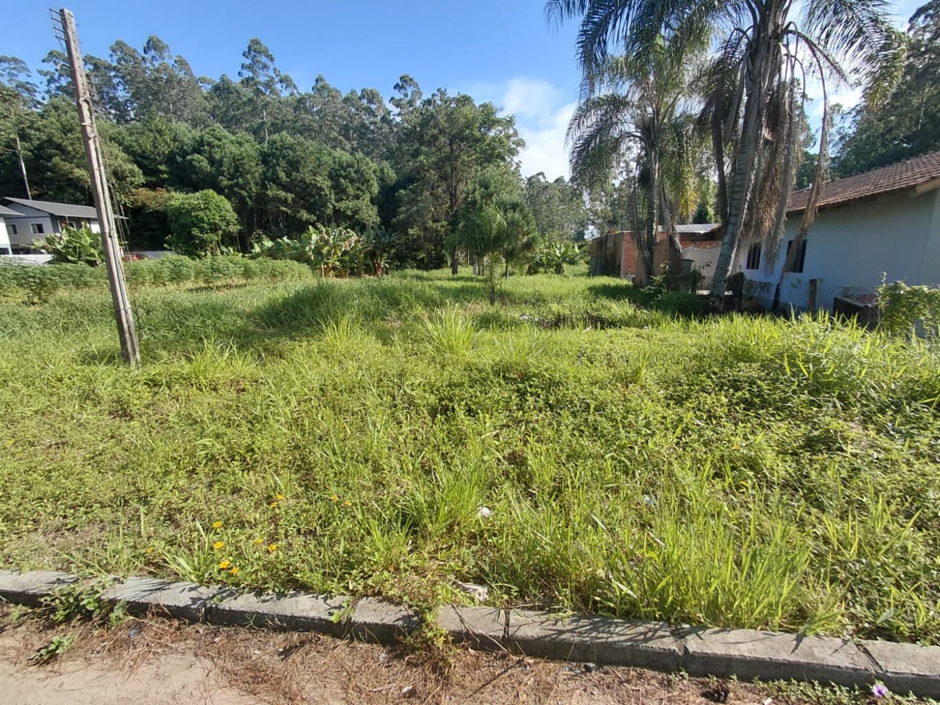 Foto de Terreno à venda, 731m² no Araponguinhas, Timbó